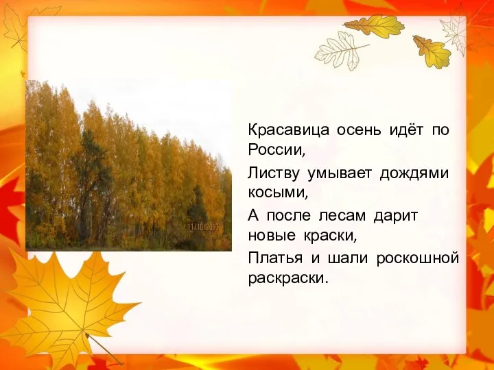 Красавица осень идёт по России, Листву умывает дождями косыми, А