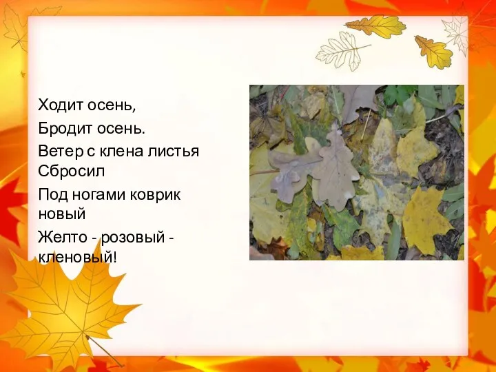 Ходит осень, Бродит осень. Ветер с клена листья Сбросил Под