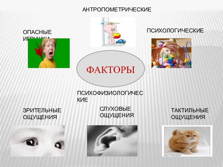 ФАКТОРЫ ОПАСНЫЕ ИГРУШКИ АНТРОПОМЕТРИЧЕСКИЕ ПСИХОЛОГИЧЕСКИЕ ПСИХОФИЗИОЛОГИЧЕСКИЕ ЗРИТЕЛЬНЫЕ ОЩУЩЕНИЯ СЛУХОВЫЕ ОЩУЩЕНИЯ ТАКТИЛЬНЫЕ ОЩУЩЕНИЯ