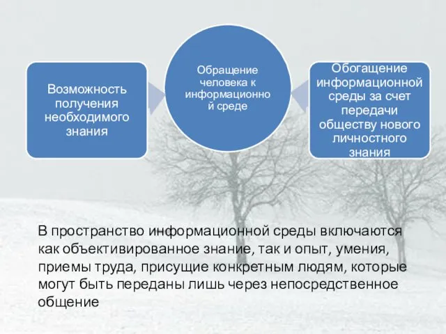 В пространство информационной среды включаются как объективированное знание, так и