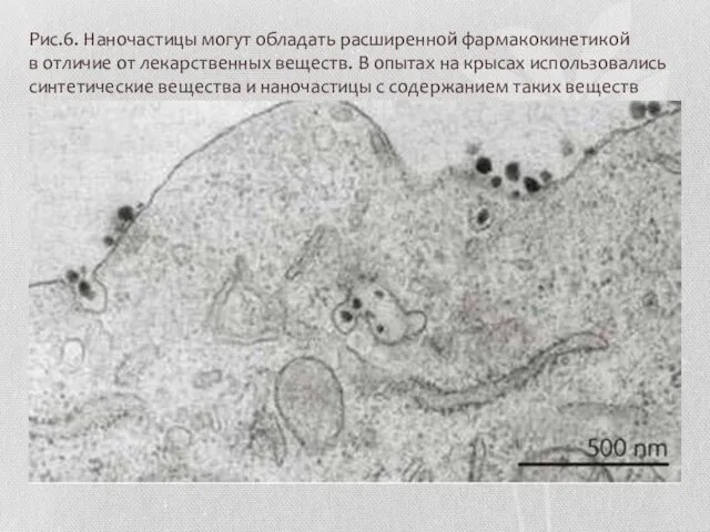 Рис.6. Наночастицы могут обладать расширенной фармакокинетикой в отличие от лекарственных