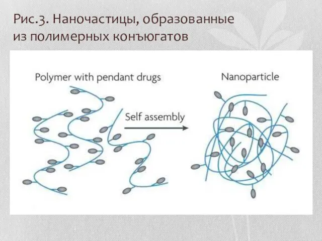 Рис.3. Наночастицы, образованные из полимерных конъюгатов