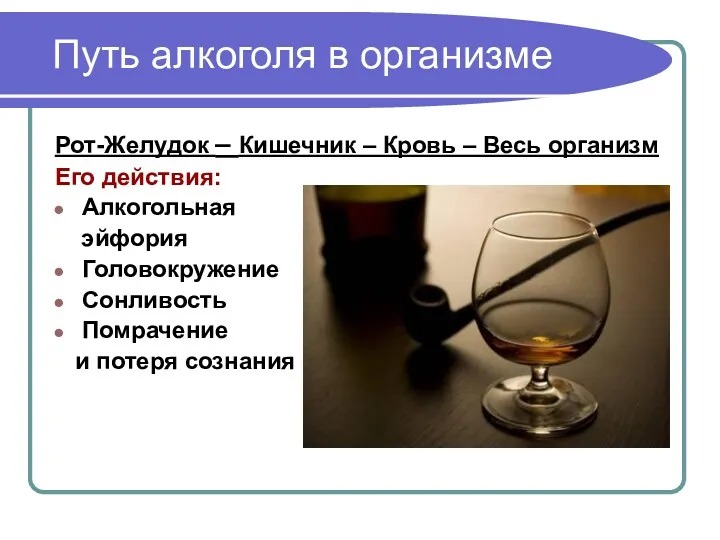 Путь алкоголя в организме Рот-Желудок – Кишечник – Кровь –