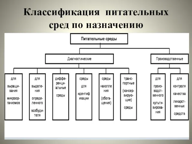 Классификация питательных сред по назначению