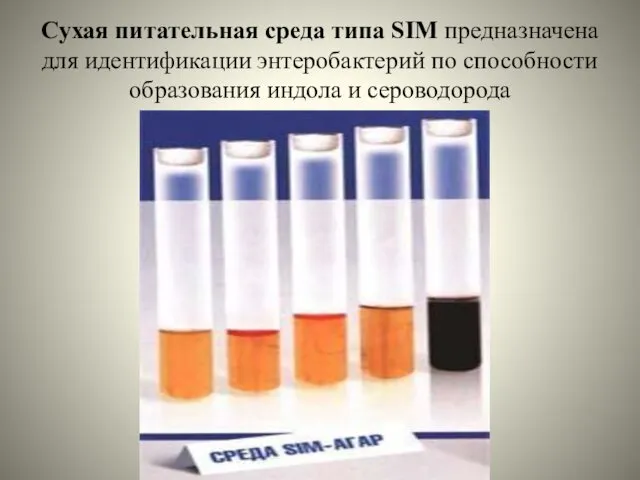 Сухая питательная среда типа SIM предназначена для идентификации энтеробактерий по способности образования индола и сероводорода