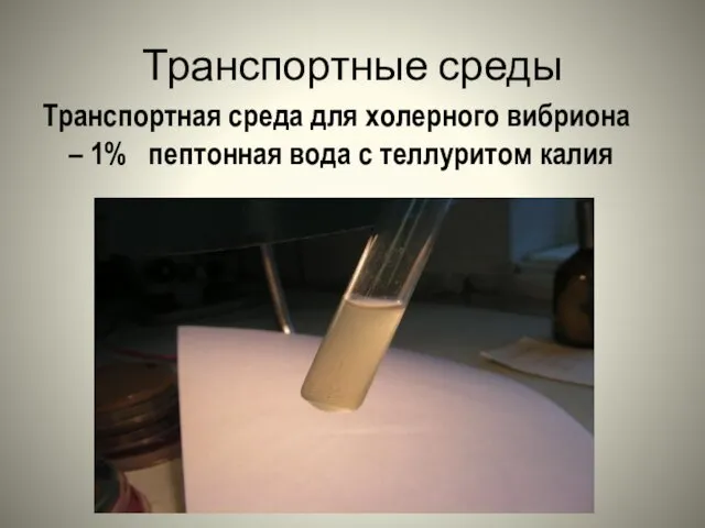 Транспортные среды Транспортная среда для холерного вибриона – 1% пептонная вода с теллуритом калия