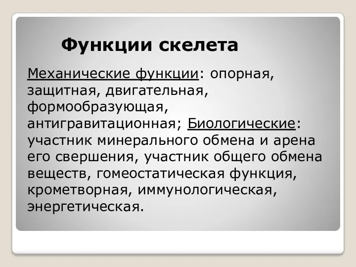 Функции скелета Механические функции: опорная, защитная, двигательная, формообразующая, антигравитационная; Биологические: