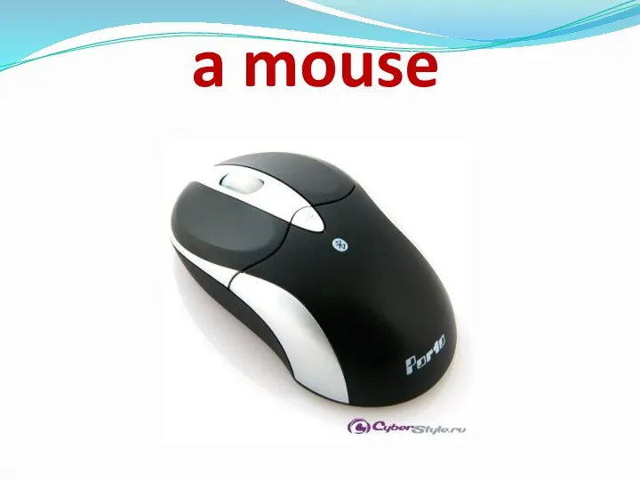 a mouse