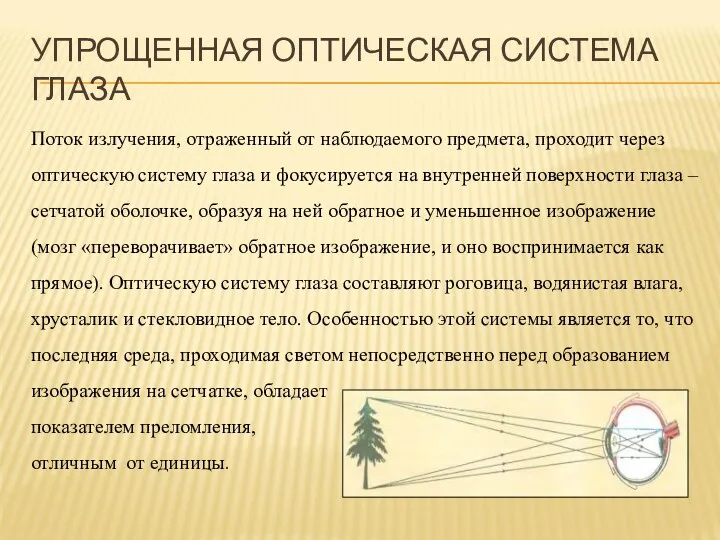 УПРОЩЕННАЯ ОПТИЧЕСКАЯ СИСТЕМА ГЛАЗА Поток излучения, отраженный от наблюдаемого предмета,