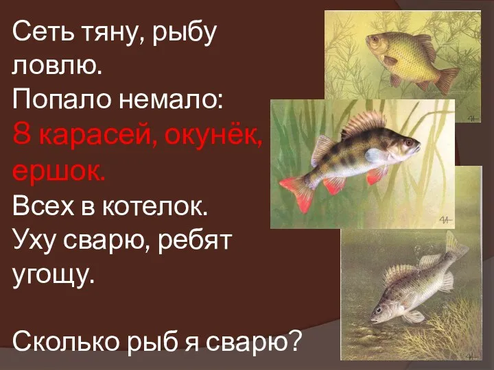 Сеть тяну, рыбу ловлю. Попало немало: 8 карасей, окунёк, ершок.