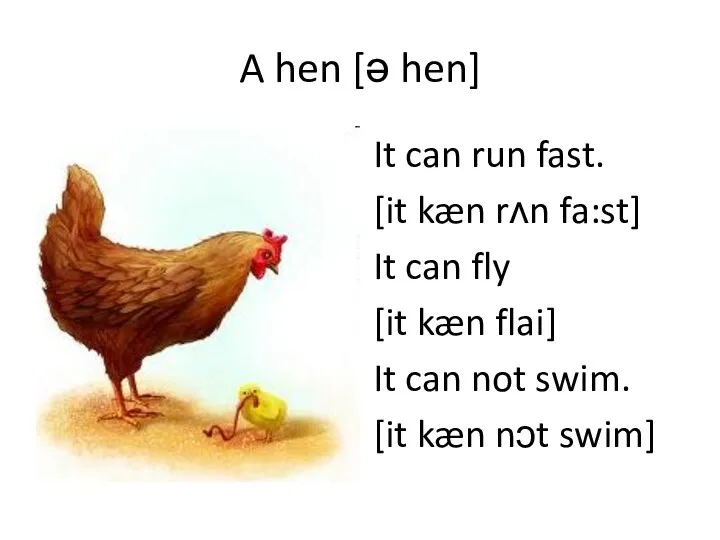 A hen [ə hen] It can run fast. [it kæn