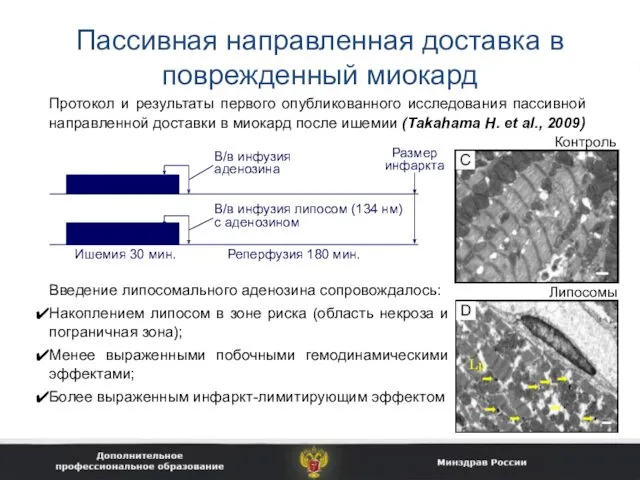 Пассивная направленная доставка в поврежденный миокард Протокол и результаты первого