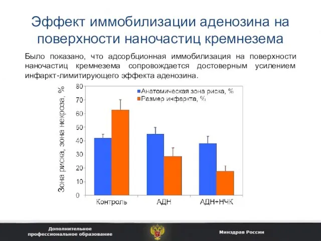 Эффект иммобилизации аденозина на поверхности наночастиц кремнезема Было показано, что адсорбционная иммобилизация на