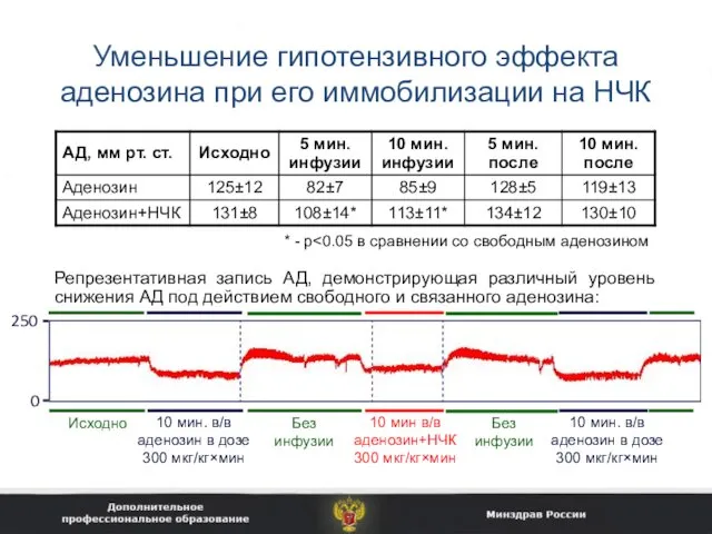 Уменьшение гипотензивного эффекта аденозина при его иммобилизации на НЧК * - p Репрезентативная