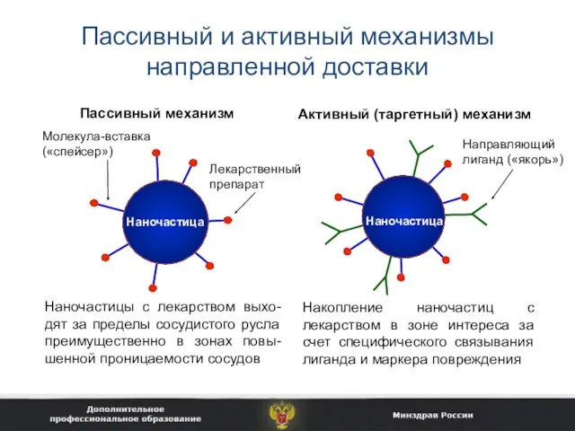 Пассивный и активный механизмы направленной доставки Направляющий лиганд («якорь») Пассивный