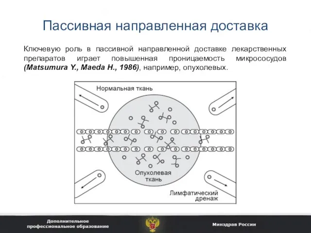 Пассивная направленная доставка Ключевую роль в пассивной направленной доставке лекарственных препаратов играет повышенная