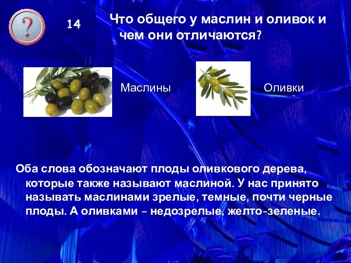 14 Что общего у маслин и оливок и чем они отличаются? Маслины Оливки