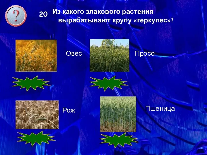 4 20 Из какого злакового растения вырабатывают крупу «геркулес»? Овес Просо Пшеница Рож