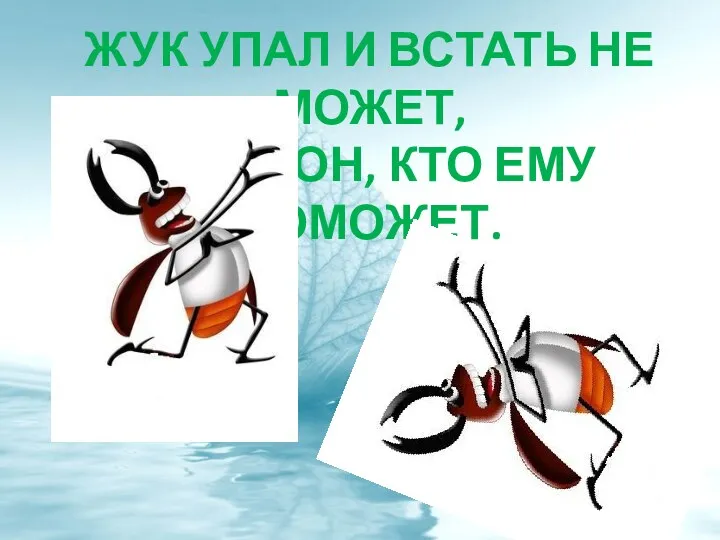 ЖУК УПАЛ И ВСТАТЬ НЕ МОЖЕТ, ЖДЁТ ОН, КТО ЕМУ ПОМОЖЕТ.