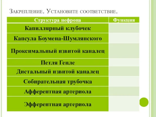 Закрепление. Установите соответствие.