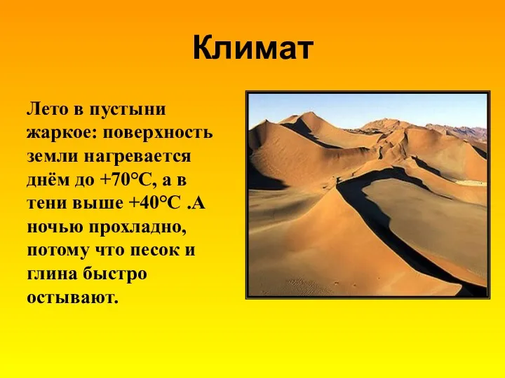 Климат Лето в пустыни жаркое: поверхность земли нагревается днём до +70°С, а в