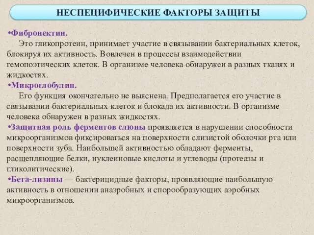 Фибронектин. Это гликопротеин, принимает участие в связывании бактериальных клеток, блокируя