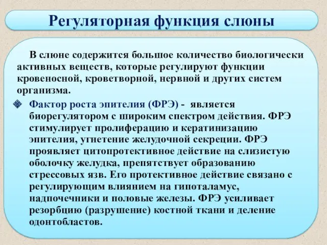 Регуляторная функция слюны В слюне содержится большое количество биологически активных