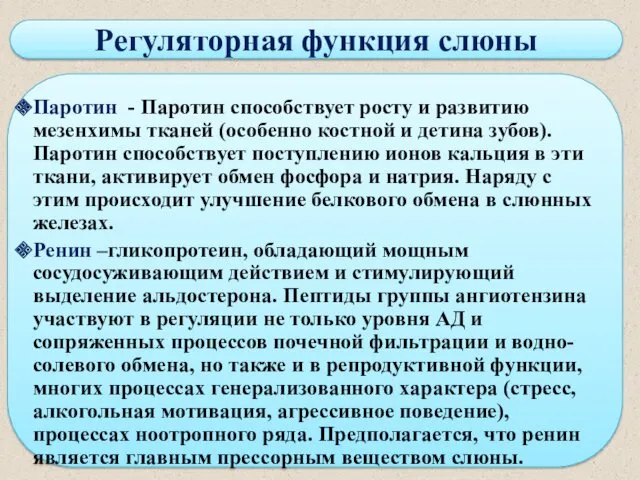 Регуляторная функция слюны Паротин - Паротин способствует росту и развитию