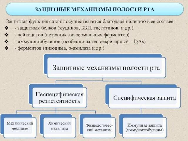 ЗАЩИТНЫЕ МЕХАНИЗМЫ ПОЛОСТИ РТА Защитная функция слюны осуществляется благодаря наличию