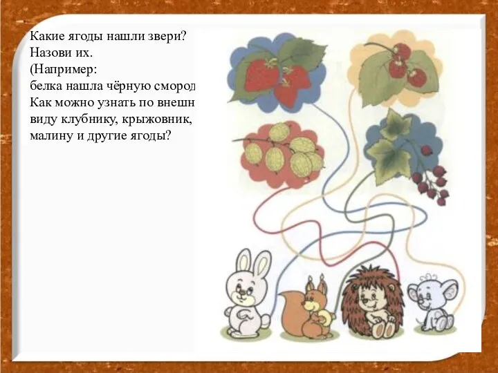 Какие ягоды нашли звери? Назови их. (Например: белка нашла чёрную смородину) Как можно