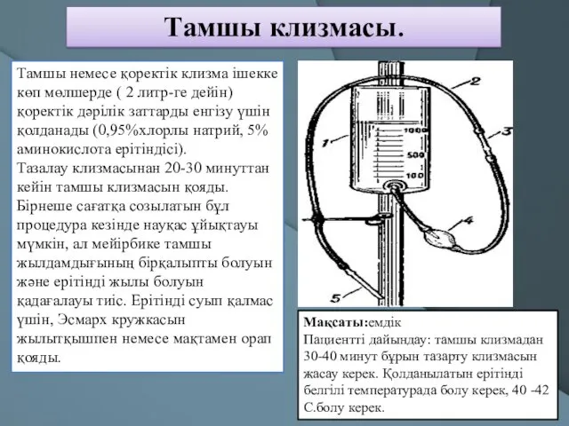 Тамшы клизмасы. Тамшы немесе қоректік клизма ішекке көп мөлшерде (