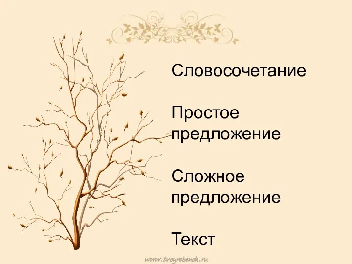 Словосочетание Простое предложение Сложное предложение Текст