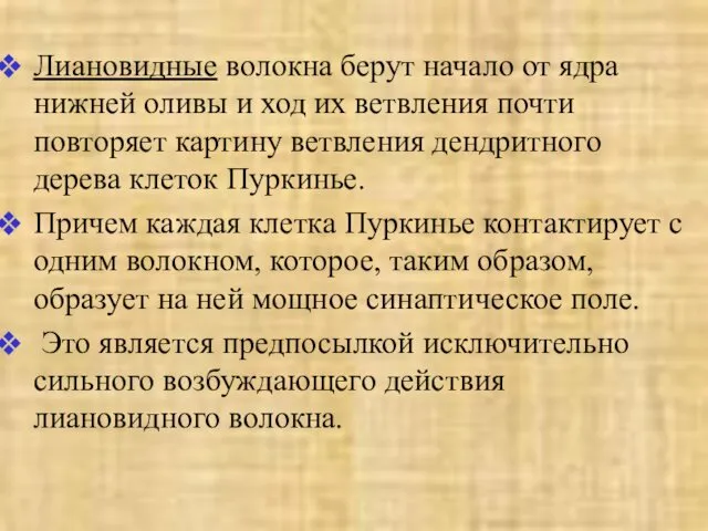 Лиановидные волокна берут начало от ядра нижней оливы и ход