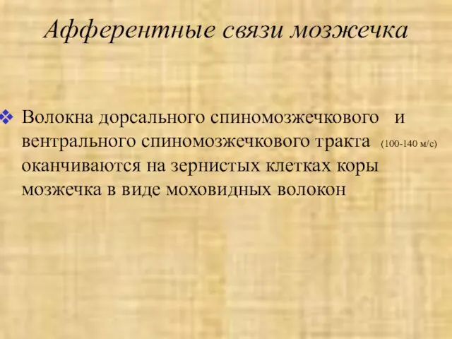 Афферентные связи мозжечка Волокна дорсального спиномозжечкового и вентрального спиномозжечкового тракта