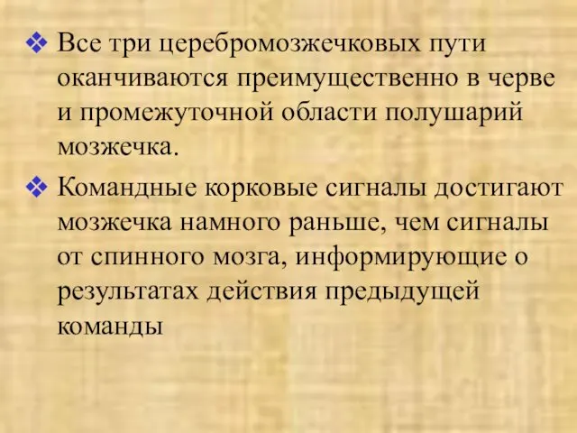 Все три церебромозжечковых пути оканчиваются преимущественно в черве и промежуточной