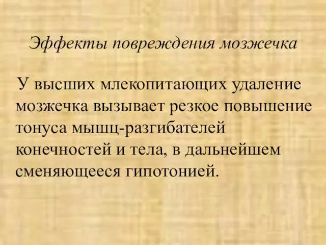 Эффекты повреждения мозжечка У высших млекопитающих удаление мозжечка вызывает резкое