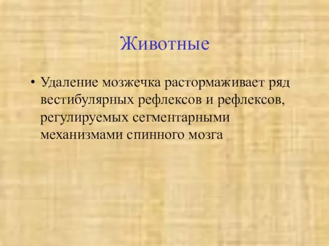 Животные Удаление мозжечка растормаживает ряд вестибулярных рефлексов и рефлексов, регулируемых сегментарными механизмами спинного мозга