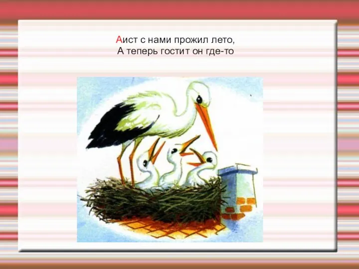 Аист с нами прожил лето, А теперь гостит он где-то