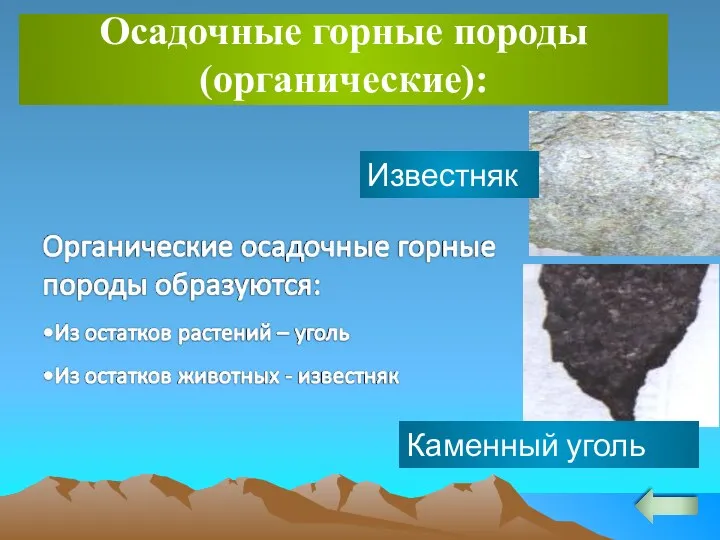Осадочные горные породы (органические): Известняк Каменный уголь
