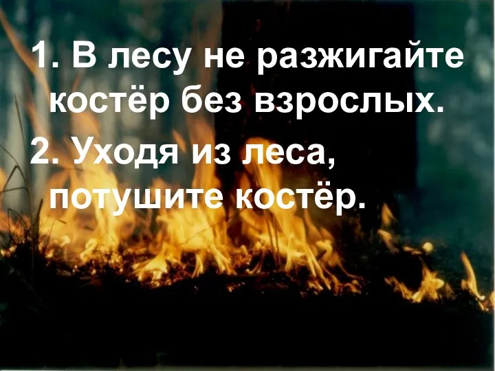 1. В лесу не разжигайте костёр без взрослых. 2. Уходя из леса, потушите костёр.