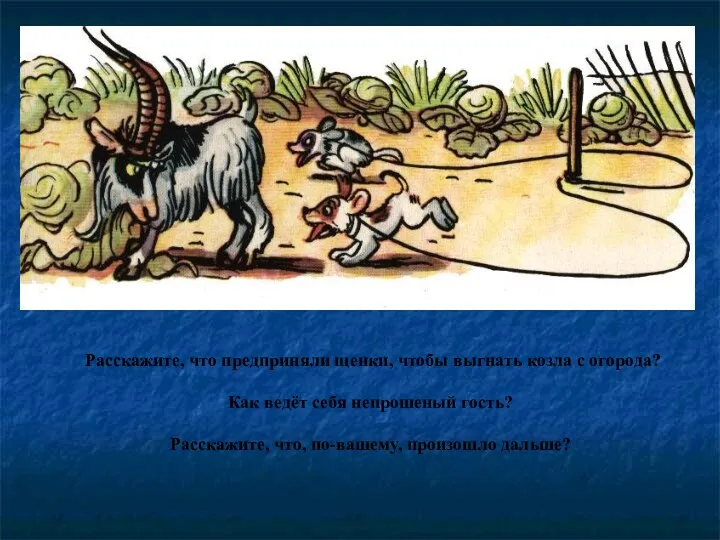 Расскажите, что предприняли щенки, чтобы выгнать козла с огорода? Как ведёт себя непрошеный
