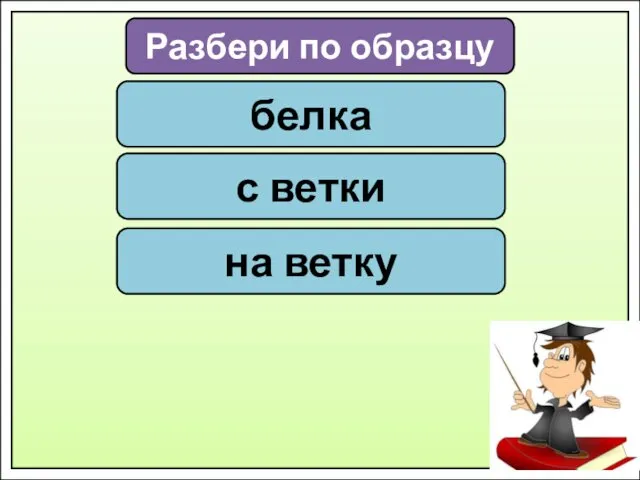 Разбери по образцу белка с ветки на ветку