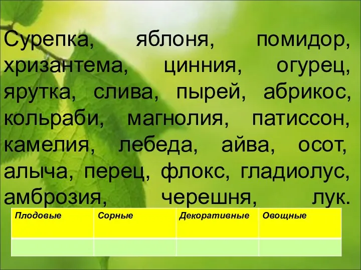 Сурепка, яблоня, помидор, хризантема, цинния, огурец, ярутка, слива, пырей, абрикос, кольраби, магнолия, патиссон,