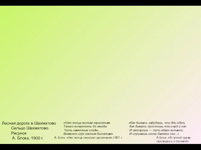 Лесная дорога в Шахматово Сельцо Шахматово. Рисунок А. Блока. 1900