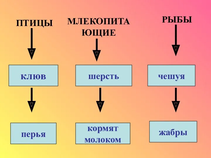 ПТИЦЫ МЛЕКОПИТА ЮЩИЕ РЫБЫ клюв шерсть чешуя перья кормят молоком жабры