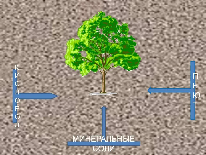 МИНЕРАЛЬНЫЕ СОЛИ ПЬЮТ КИСЛО РОД