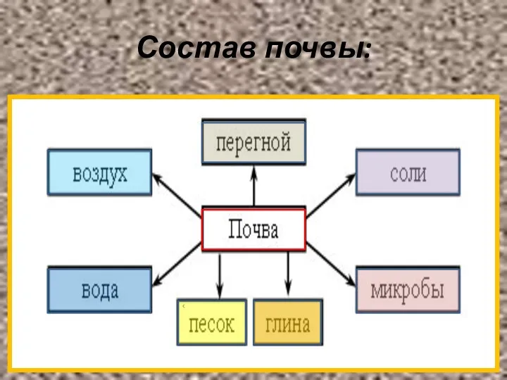 Состав почвы: