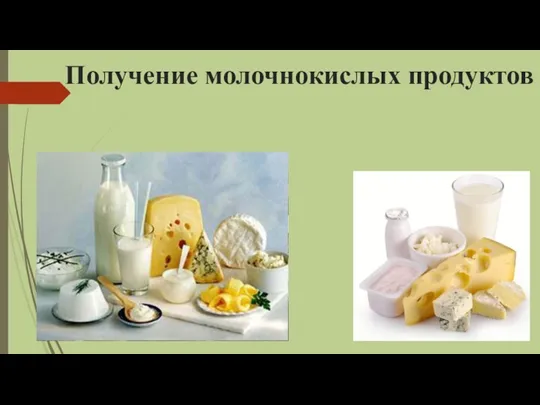Получение молочнокислых продуктов