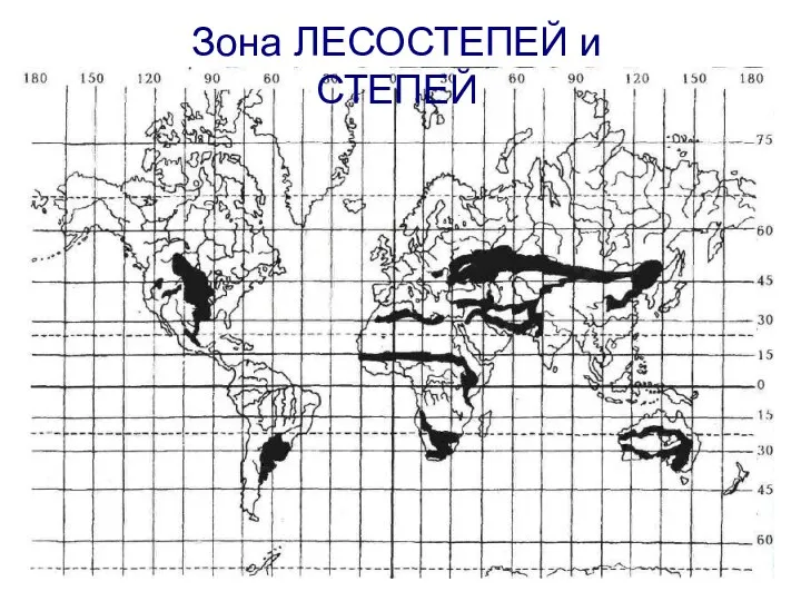 Зона ЛЕСОСТЕПЕЙ и СТЕПЕЙ