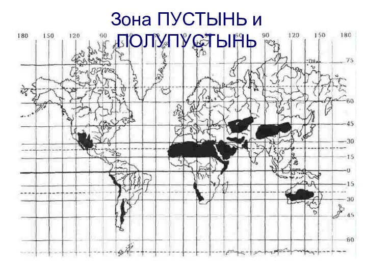 Зона ПУСТЫНЬ и ПОЛУПУСТЫНЬ